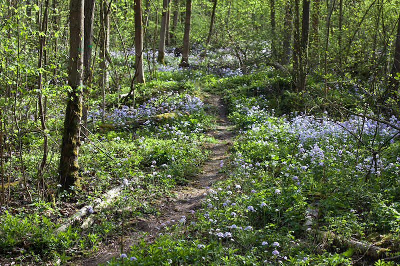 2011-spring-frankfurt-1