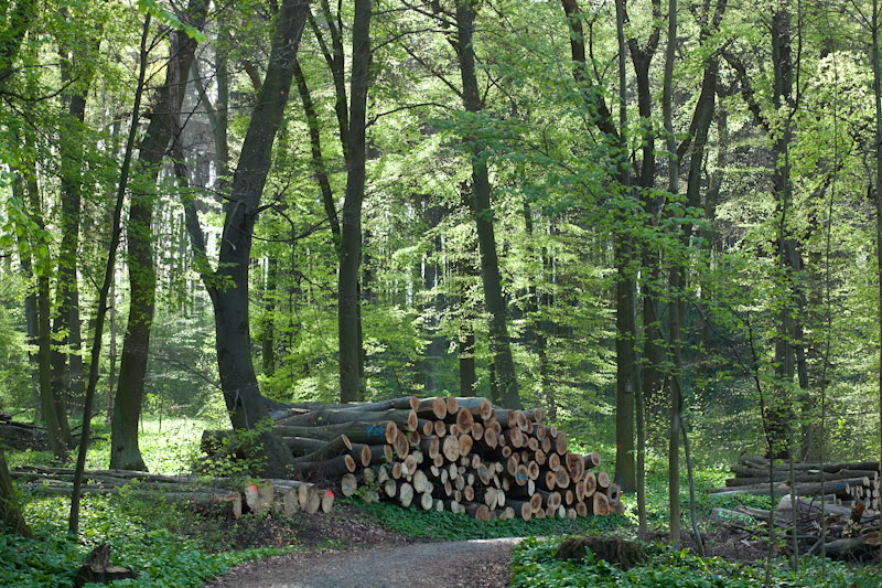 2011-spring-frankfurt-2