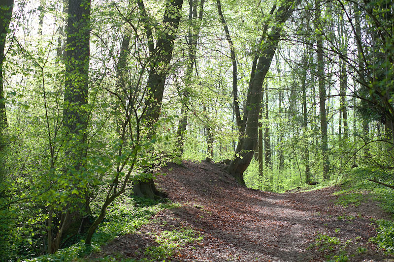 2011-spring-frankfurt-3