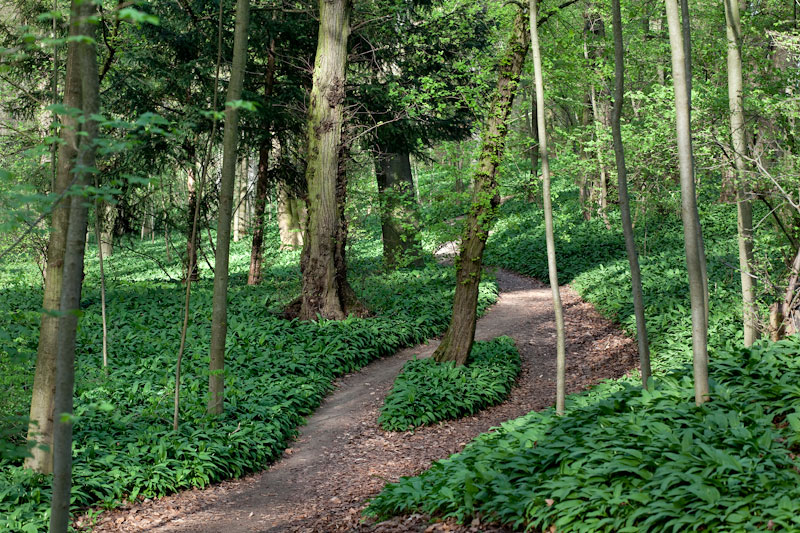 2011-spring-frankfurt-5