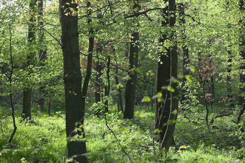 2011-spring-frankfurt-7