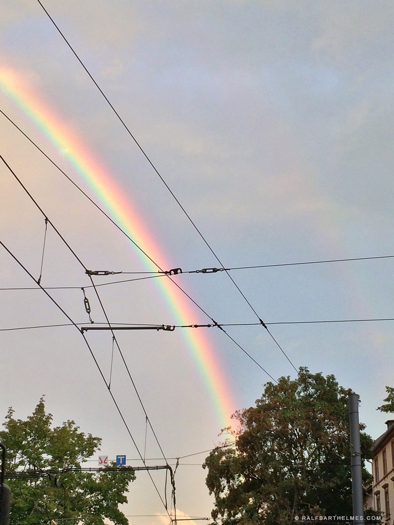 rainbow regenbogen frankfurt judy garland