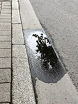 barthelmes pfuezten fotografie