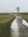 barthelmes pfuezten fotografie