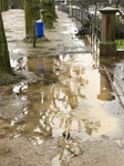 barthelmes pfuezten fotografie