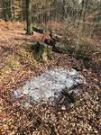 barthelmes pfuezten fotografie