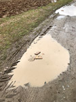 barthelmes pfuezten fotografie