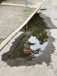 barthelmes pfuezten fotografie