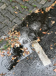 barthelmes pfuezten fotografie