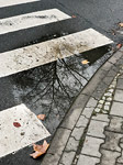 barthelmes pfuezten fotografie