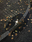 barthelmes pfuezten fotografie
