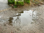barthelmes pfuezten fotografie