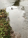 barthelmes pfuezten fotografie