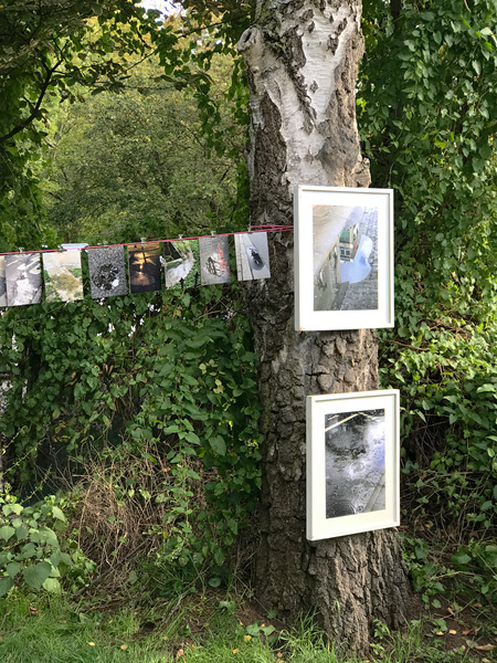 Vernissage, Gartenausstellung Trainingsgruppe 3, Frankfurt