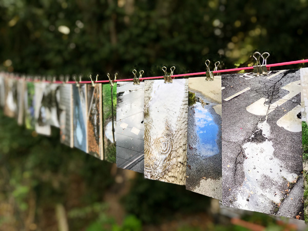 Vernissage, Gartenausstellung Trainingsgruppe 3, Frankfurt
